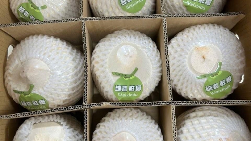 Nearly 22 tonnes of fresh coconuts exported to China via Bac Luan II border gate